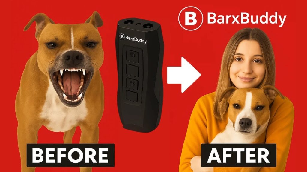 BarxBuddy 